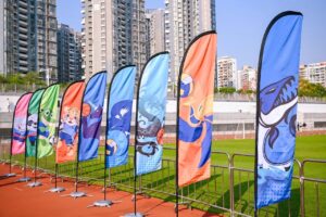 Sports Team Flags