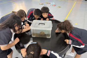 Little Farmers Club at BASIS International School Hangzhou