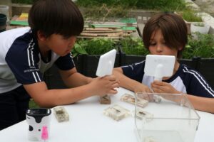 Little Farmers Club at BASIS International School Hangzhou