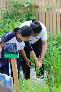 Little Farmers Club at BASIS International School Hangzhou