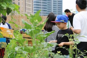 Little Farmers Club