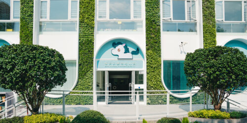 BASIS Bilingual Kindergarten Futian Year One: A Remarkable Journey