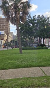 Summer Adventure: New Orleans