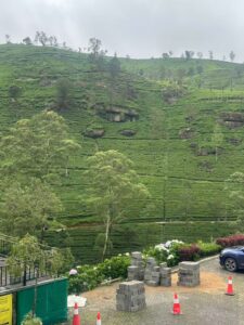 Summer Adventure: Nuwara Eliya