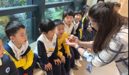 From Teacher to Vice Head of Division at BASIS International School Shenzhen 