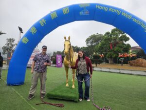 Community Year of the Horse