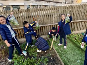 Little Farmers Club at BASIS International School Hangzhou