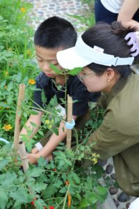Little Farmers Club at BASIS International School Hangzhou